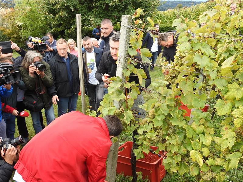 Pregrada: Milanović na manifestaciji „Branje grojzdja” 