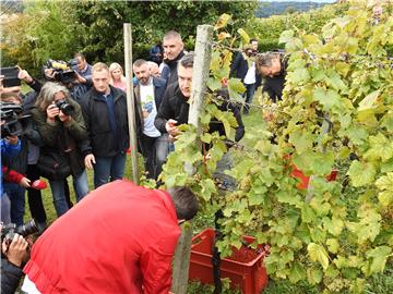 Pregrada: Milanović na manifestaciji „Branje grojzdja” 