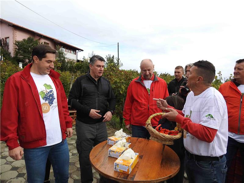 Pregrada: Milanović na manifestaciji „Branje grojzdja” 