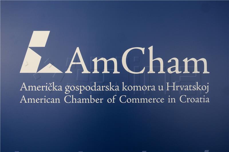 AmCham suggests improvements in implementing Public Procurement Act