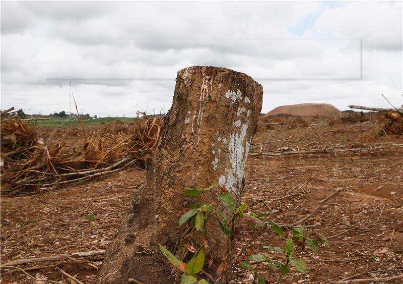 IVORY COAST DEFORESTATION