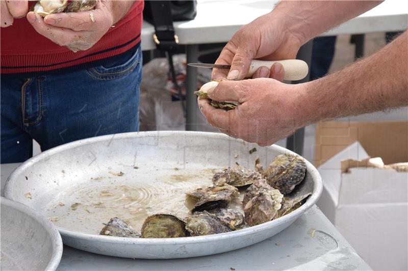 Croatia awarded 28th EU protected designation for oysters from Mali Ston