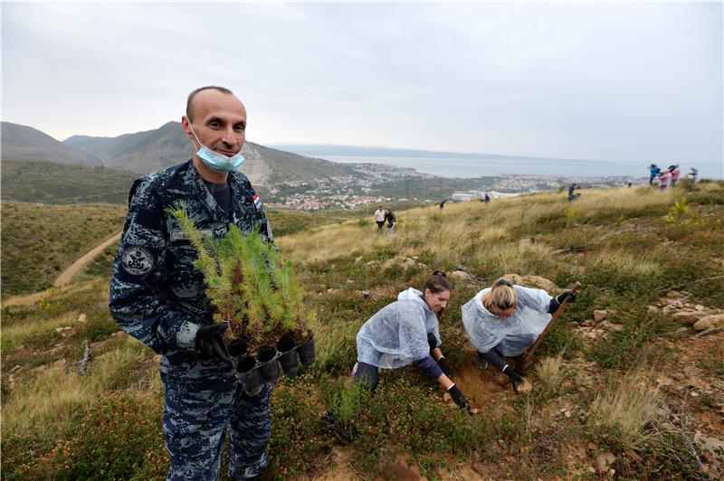 150 volunteers participating in reforestation drive near Split