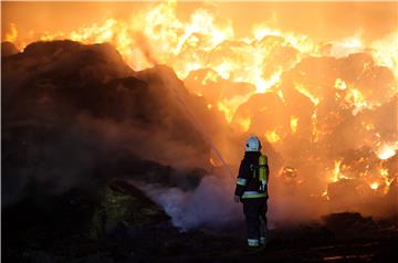 POLAND FIRE PELLET FUEL