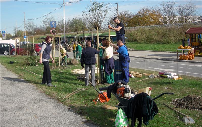 U akciji "Zeleni Sisak za zeleni planet" posađeno 160 stabala 