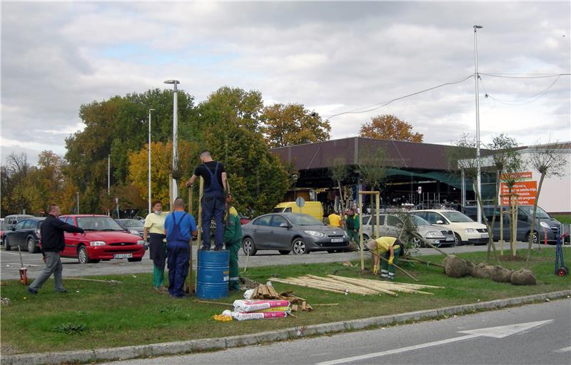 U akciji "Zeleni Sisak za zeleni planet" posađeno 160 stabala