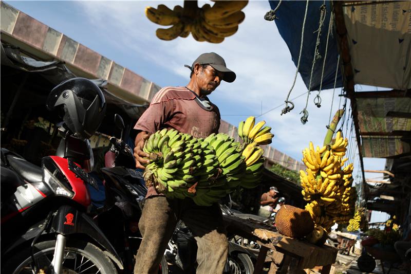 Ugrožena proizvodnja banana na Kanarima prijetnja europskom tržištu 