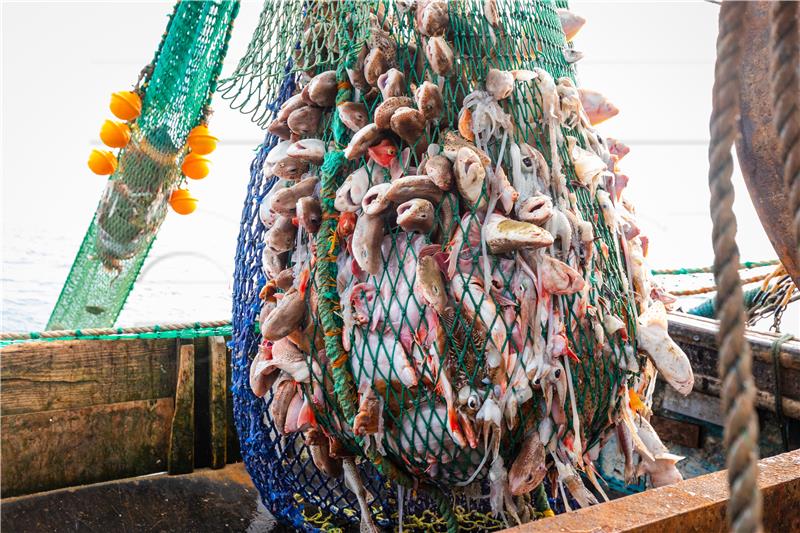 BRITAIN PHOTO SET BREXIT FISHING