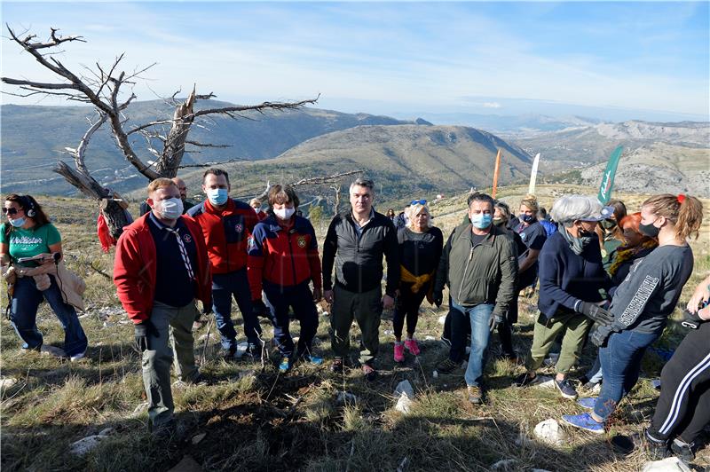 Milanović sudjelovao u kampanji pošumljavanja požarišta Dalmacije „Boranka“ 