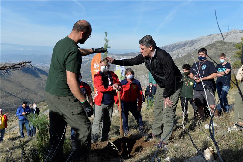 Reforestation of mountains overlooking Split continues