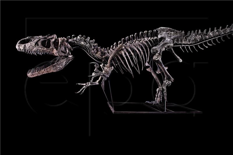 Klimatske promjene nisu bile pogubne za dinosaure jednom nego dvaput