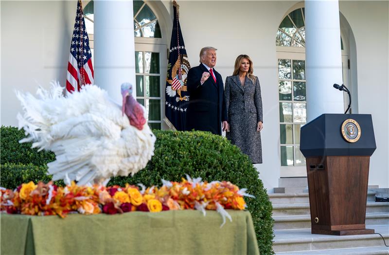 USA TRUMP TURKEY PARDONING