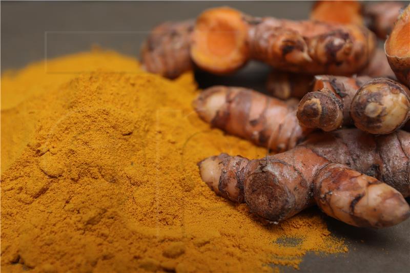 SRI LANKA AGRICULTURE TURMERIC