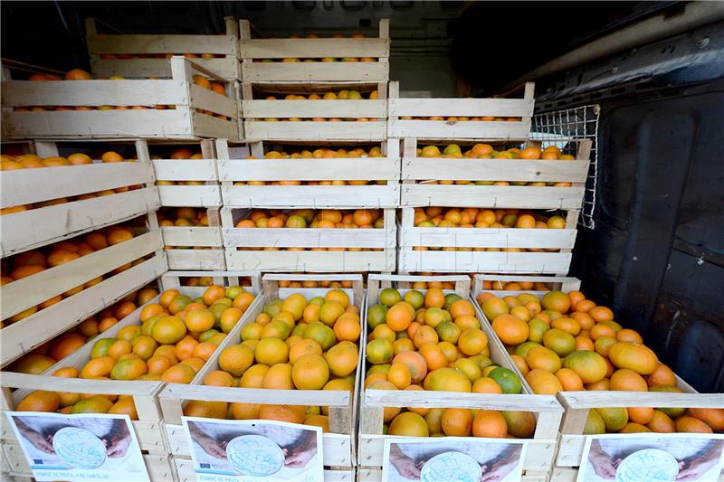 Proizvođači mandarina darovali 650 kilograma tog voća riječkim ustanovama i udrugama