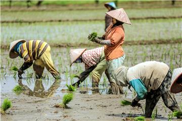 INDONESIA ECONOMY