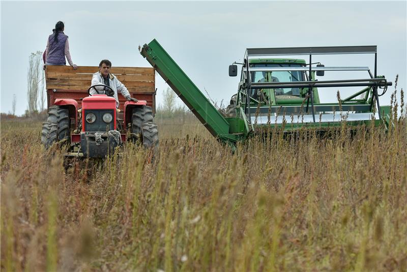 Amendments to Agricultural Land Act put to public consultation