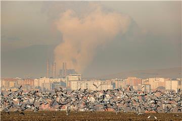 KOSOVO ENVIRONMENTAL POLLUTION