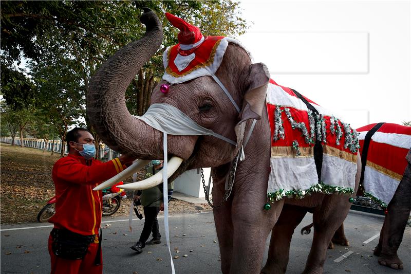 THAILAND PHOTO SET BELIEF CHRISTMAS ELEPHANTS