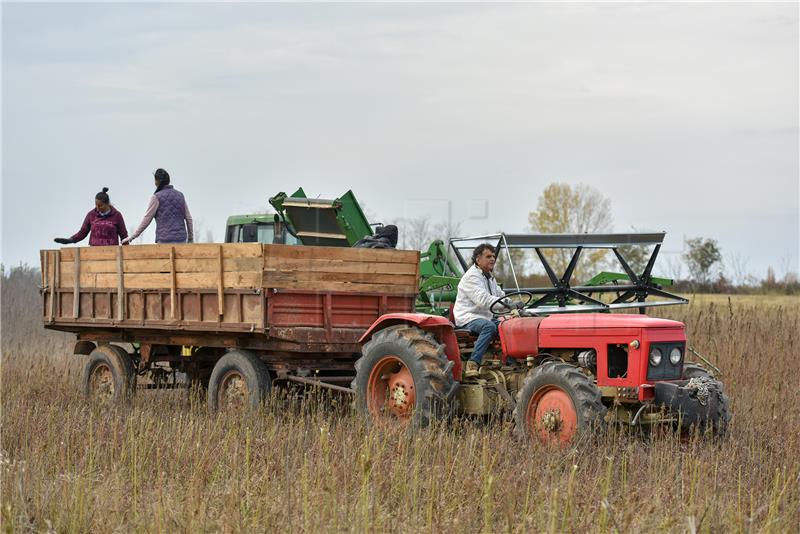 Early payment of direct aid to farms in earthquake- and flood-affected areas