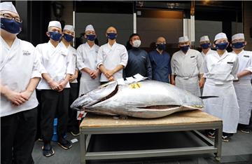 JAPAN GASTRONOMY NEW YEAR TUNA AUCTION