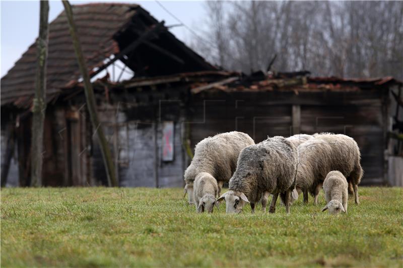 Obilazak Majskih Poljana Kriznog stožera u Petrinji