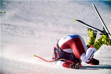 AUSTRIA ALPINE SKIING WORLD CUP