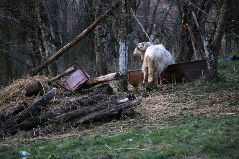 U Hrvatskoj Kostajnici tri obitelji na rubu klizišta drže se "zubima za vjetar"