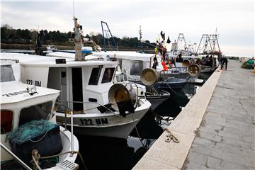 Picula ističe da je maritimni sektor ključan za uspjeh Europskog zelenog plana 