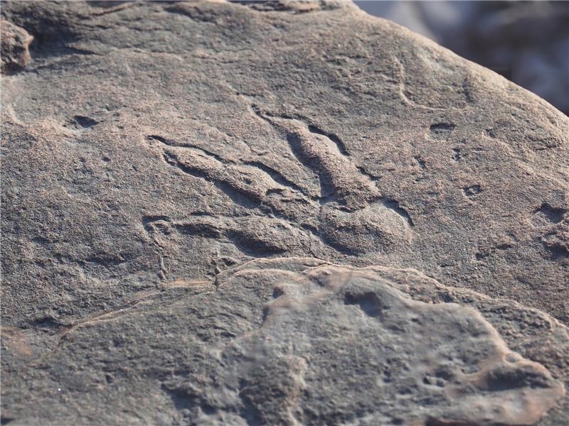 BRITAIN DINOSAUR FOOTPRINT