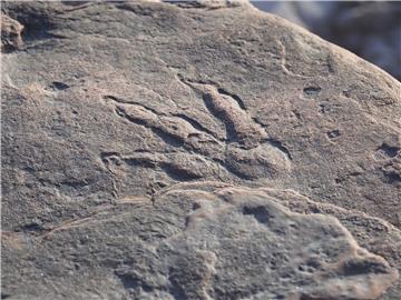 BRITAIN DINOSAUR FOOTPRINT