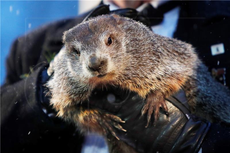 (FILE) USA GROUNDHOG DAY