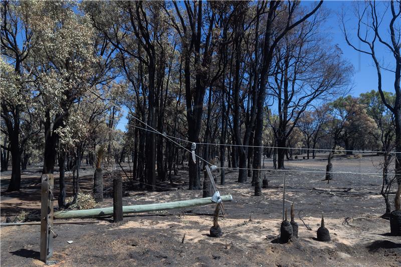 AUSTRALIA BUSHFIRES