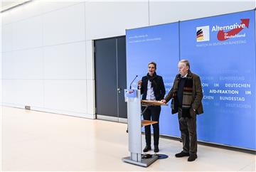 GERMANY PARTIES AFD