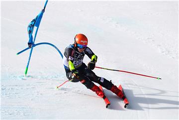 ITALY ALPINE SKIING WORLD CHAMPIONSHIPS