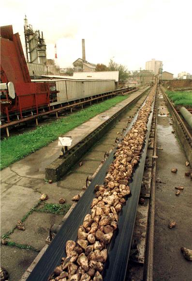 Production halted in Osijek sugar factory, Županja plant only one to continue working