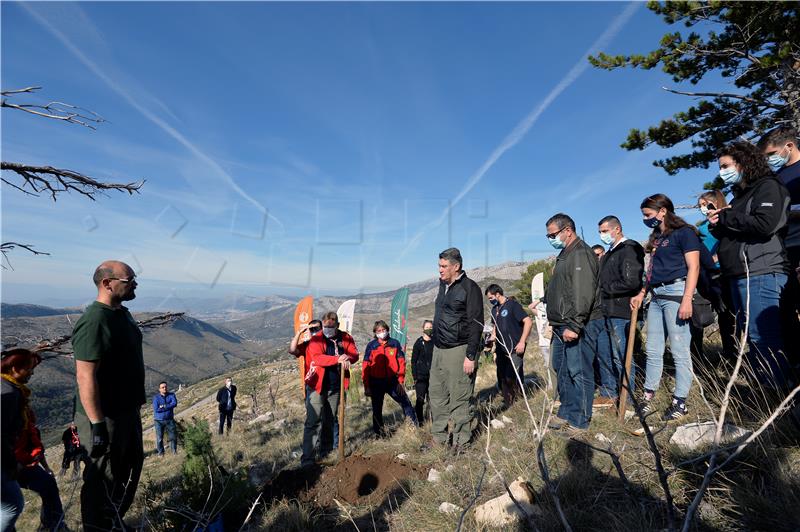 Boranka reforestation campaign awarded European Citizen's Prize for 2020