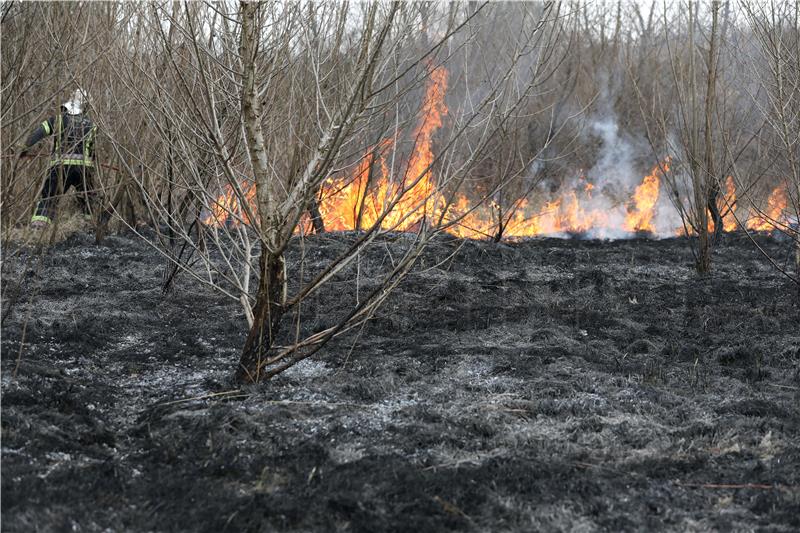 Požar otvorenog prostora na Žitnjačkoj cesti