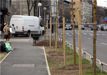 Aktivisti Greenpeacea zasadili drvored