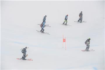 AUSTRIA ALPINE SKIING WORLD CUP