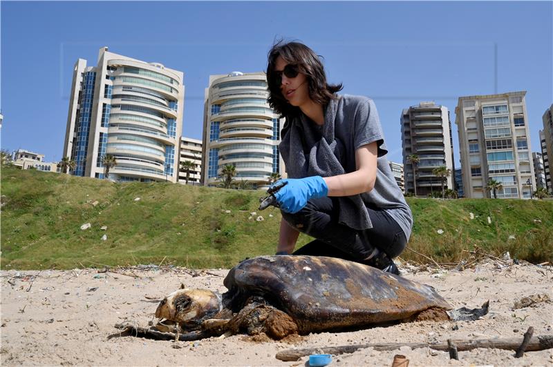 LEBANON ENVIRONMENTAL POLLUTION