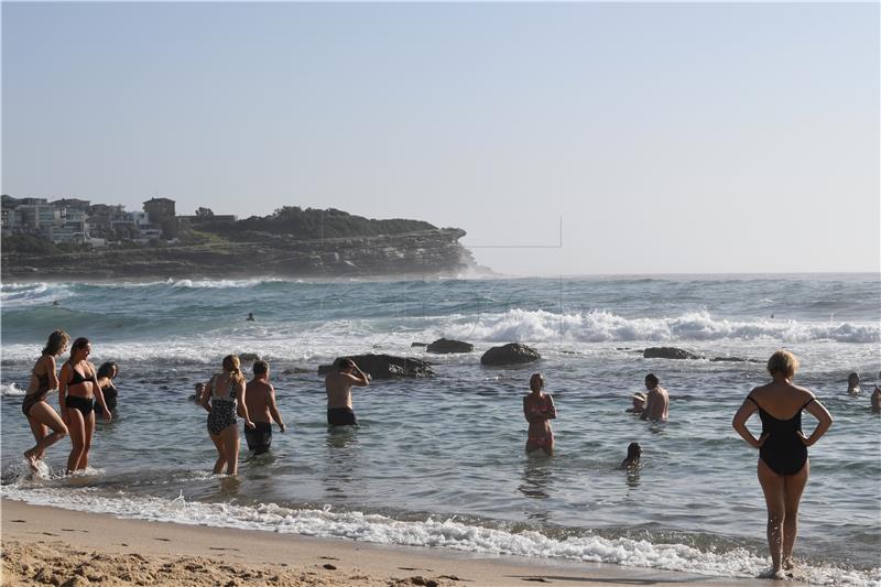 Australija: Geologa na plaži napala "ljutita hobotnica"