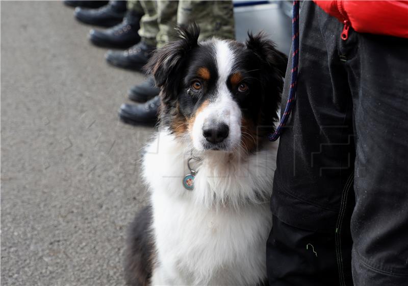 Civil Protection Directorate marks International Search and Rescue Dog Day