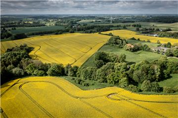 DENMARK AGRICULTURE RAPE