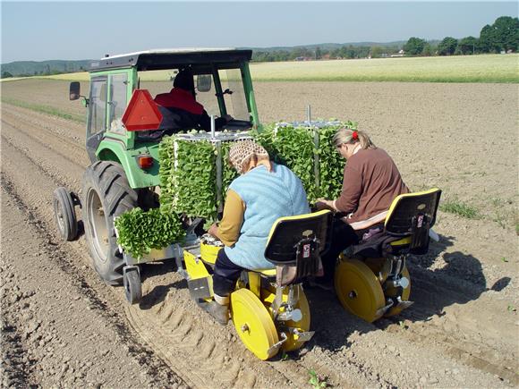 Producing pesticide-free food is opportunity for Croatia, experts say