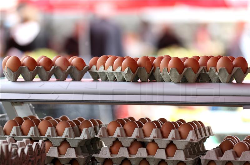 Eggs and milk producers to receive HRK 130 m more from EU, JL