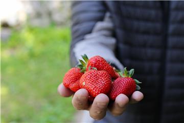 Rok za zaprimanje jedinstvenih zahtjeva produžen do 28. lipnja