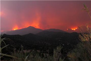 CYPRUS MOUNTAIN FIRES