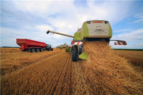 Wheat harvest kicking off in Croatia