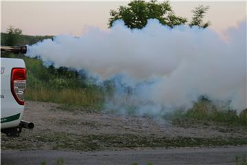 Grad Vukovar od Vlade traži da se uključi u suzbijanje komaraca