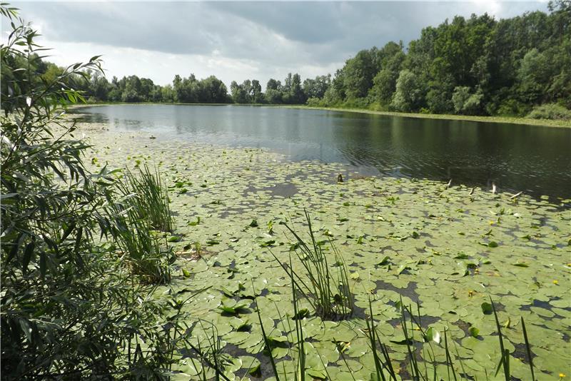 Park prirode Lonjsko polje s velikim porastom posjećenosti i novostima u ponudi